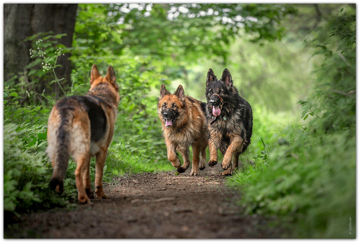 Grant Humphrey tweet media