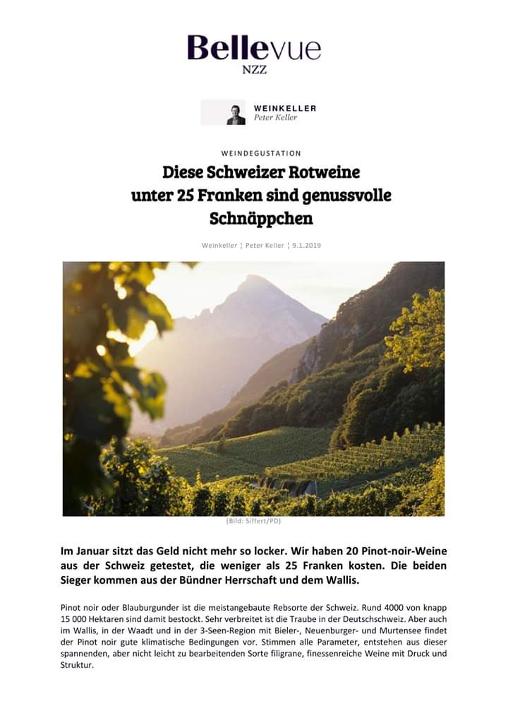 VinLaColombe's tweet photo. Danke NZZ Bellevue und Peter Keller für diese zwei Zeitungsartikel 🙂❤️ https://t.co/6PJ1ChTVtl