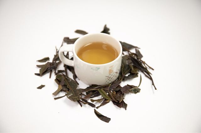 millennia_tea's tweet photo. "We act, we behave, and we feel according to what we consider our self image to be and we do not deviate from that pattern" Maxwell Maltz #positivevibes #freshleaftea #millenniatea #purpletea #tea #kenya #kenyatea #egcg #antioxidants #healthytea #partne… https://t.co/Sk3QpnVWzR https://t.co/jsVNf6cKxK