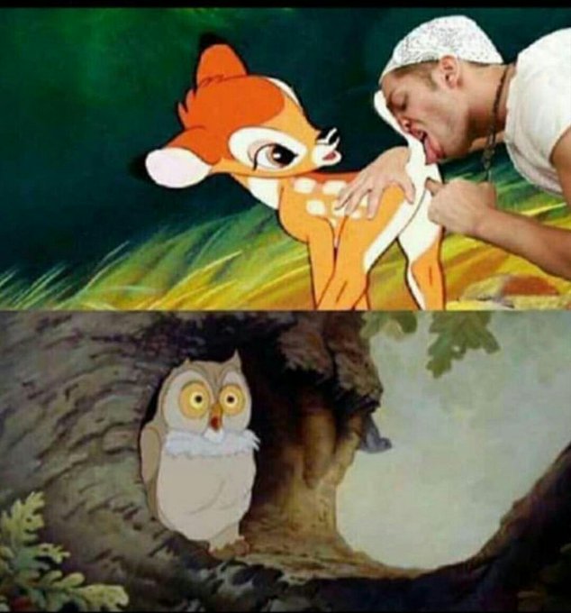 DxtSvZwXQAASEb3?format=jpg&name=small