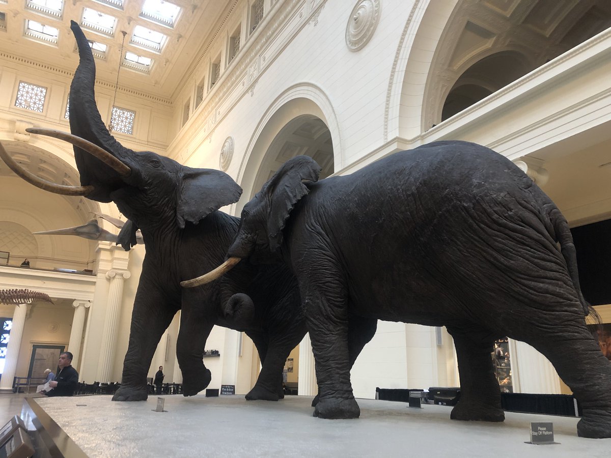 toqueandbottle's tweet photo. Checkpoint: Currently helping to set up the #FirstBites19 event! Here is a sneak peek of the event space before we fill it with food and guests! https://t.co/88Jwk4L65o