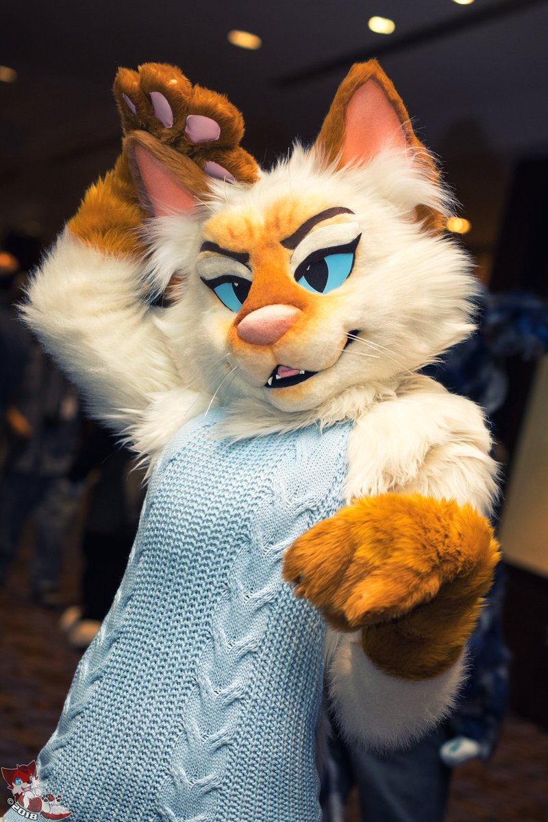 This kitty is gorgeous! 🌟
Suiter: Yet unknown, feel free to tag!
Con: MFF2017