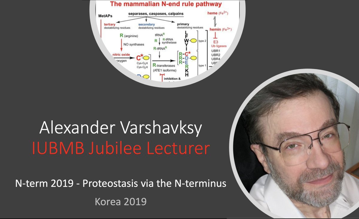 iubmb's tweet photo. Congratulations to Alexander Varshavsky @caltech, named IUBMB Jubilee Lecturer at ‘N-term 2019 – Proteostasis via the N-terminus’, Seoul, Korea, in recognition of his outstanding contributions to understanding protein degradation. https://t.co/uKzoWVvVo1