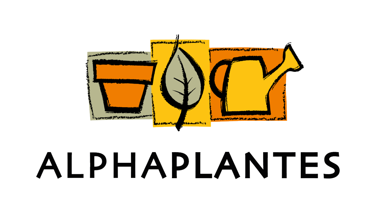 ARTSIDA10's tweet photo. Nous voudrions remercier chaleureusement @Alphaplantes pour leur soutien à Artsida!
We would like to send a huge thanks to @Alphaplantes  for their support of Artsida! https://t.co/pR6wwn7Su9