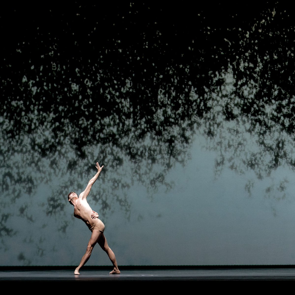 #CITIZENNOWHERE (2017) returns to the <a href="/DutchNatBallet/">Het Nationale Ballet</a> in Amsterdam performed alongside the world premiere of #REQUIEM on Feb 9 2019! @nationaleoperaballet @szybrzu operaballet.nl/en/ballet/2018… daviddawson.com/work/citizen-n… 📷 <a href="/JackDevant/">Jack Devant</a>