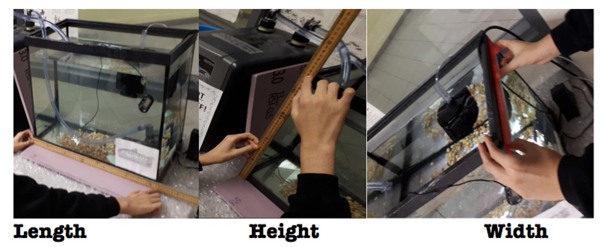 theFishbowlPTCS's tweet photo. Team 203 measured our fish tank to learn more about its size in Length, Width and Height. We also started learning more about its shape. #rectangularprism #cuboid Next up, angles. @PortageTrailCS @TDSB_STEM @greatlakesprgm @TDSBScitechkits https://t.co/ZIwysWdNsq