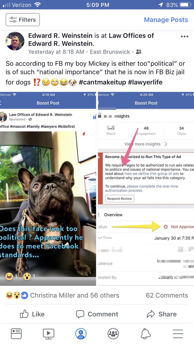 EdwardWeinstein's tweet photo. @seanhannity I own a law firm in NJ. I posted a pic of my French Bulldog Mickey for my FB business page and went to boost It was rejected twice because my cute  black faced dog is “to political” and is of ”national importance.” Political correctness gone mad. Hope this helps 🇱🇷 https://t.co/JieOeusBHG