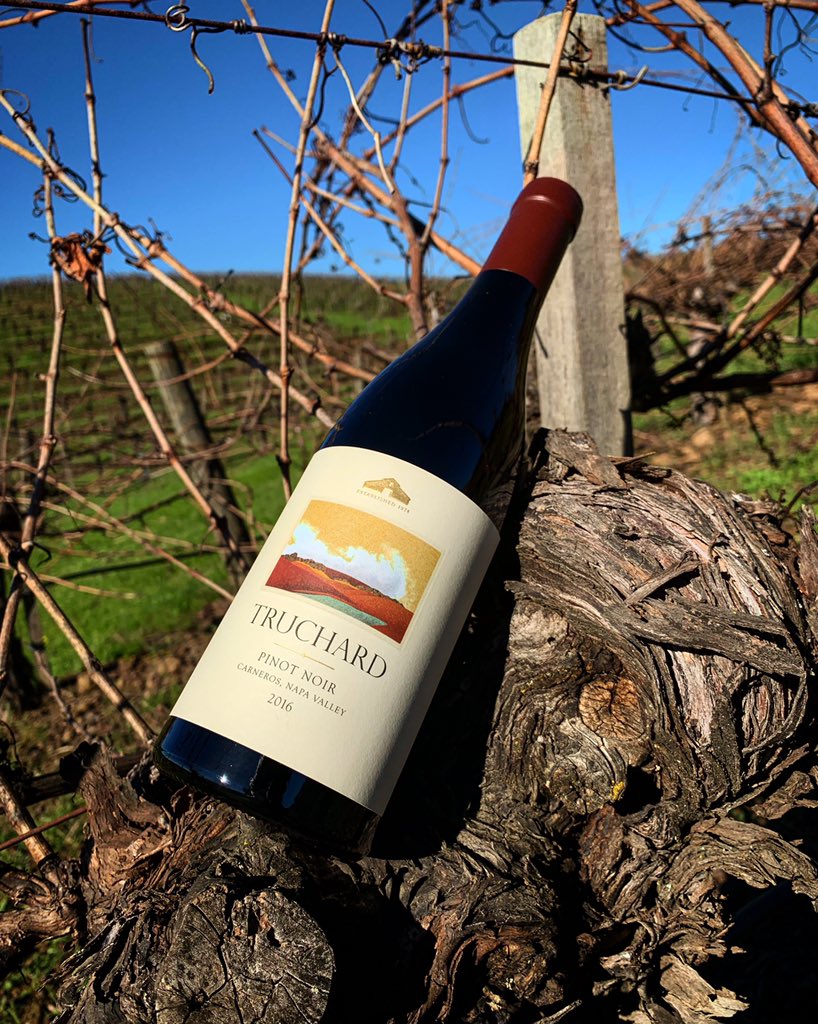 Truchard's tweet photo. We are excited to introduce the first of our Winter wine club releases: Our 2016 Estate Pinot Noir is a beautiful expression of Carneros. This is the first of 4 other wines being released to our members this February. #Carneros #NapaValley #Truchard #TruchardTrue https://t.co/7ejjLCxPuE