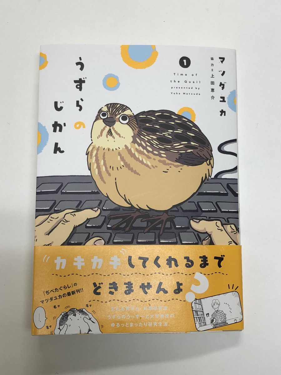 鈴木俊貴 すずきとしたか 動物言語学 Twitterissa 昨日はマンガ家のマツダユカさんが研究室に遊びにきた マンガ家さんはチャチャっと完璧にキャラ描けちゃうからホントすごい Matsudayuka