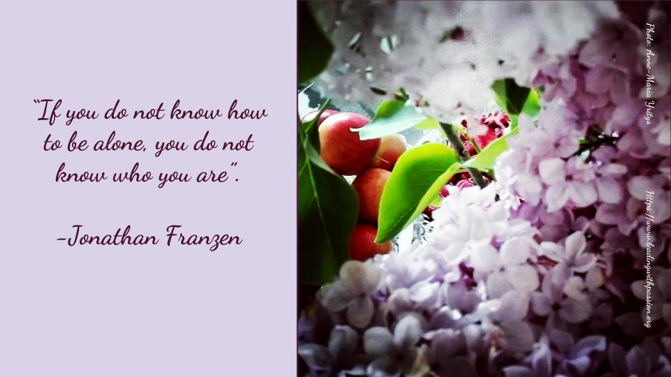 annemariayritys's tweet photo. "If you don´t know how to be alone, you don´t know who you are". 
-Jonathan Franzen https://t.co/tIuW0WD22Q
#business #leadership https://t.co/Zp1S9ElOUh
