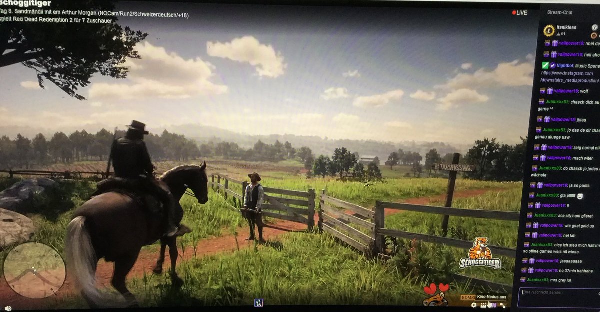 Valipower1's tweet photo. RDR 2 jey schoggi bisch de bescht streamer 😍👍🏼😎 https://t.co/kbU5G9VMZR