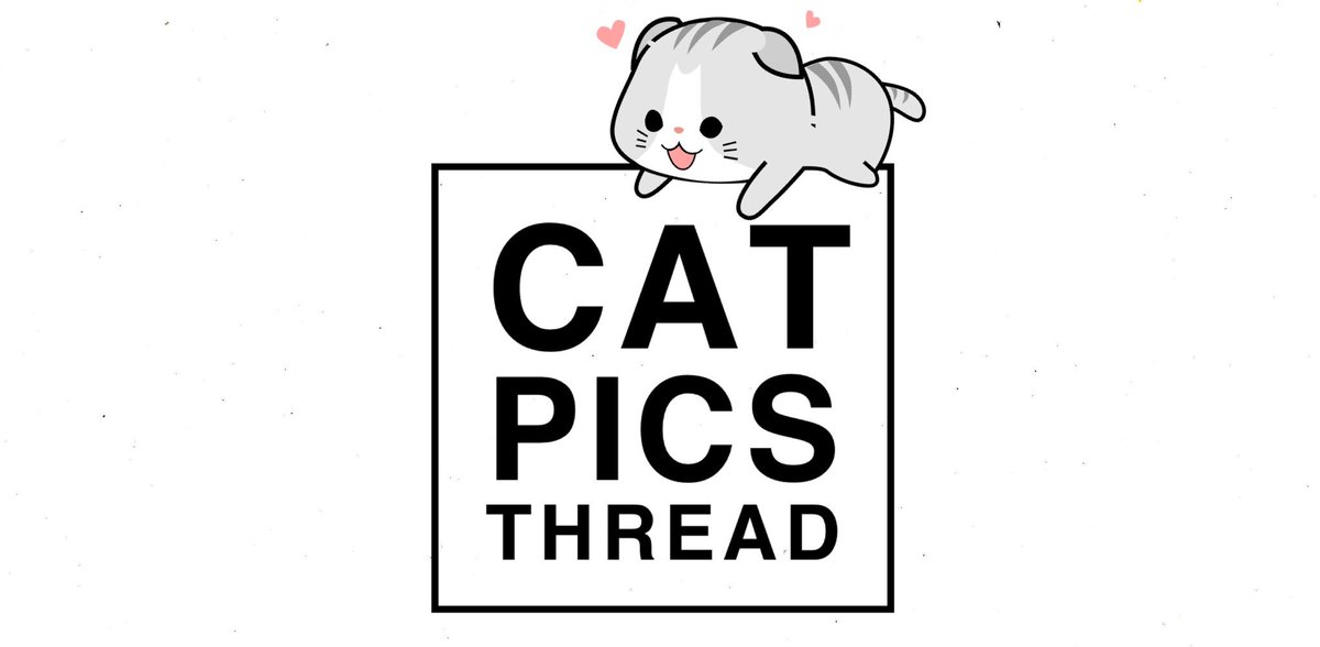 🐱💤 tweet media