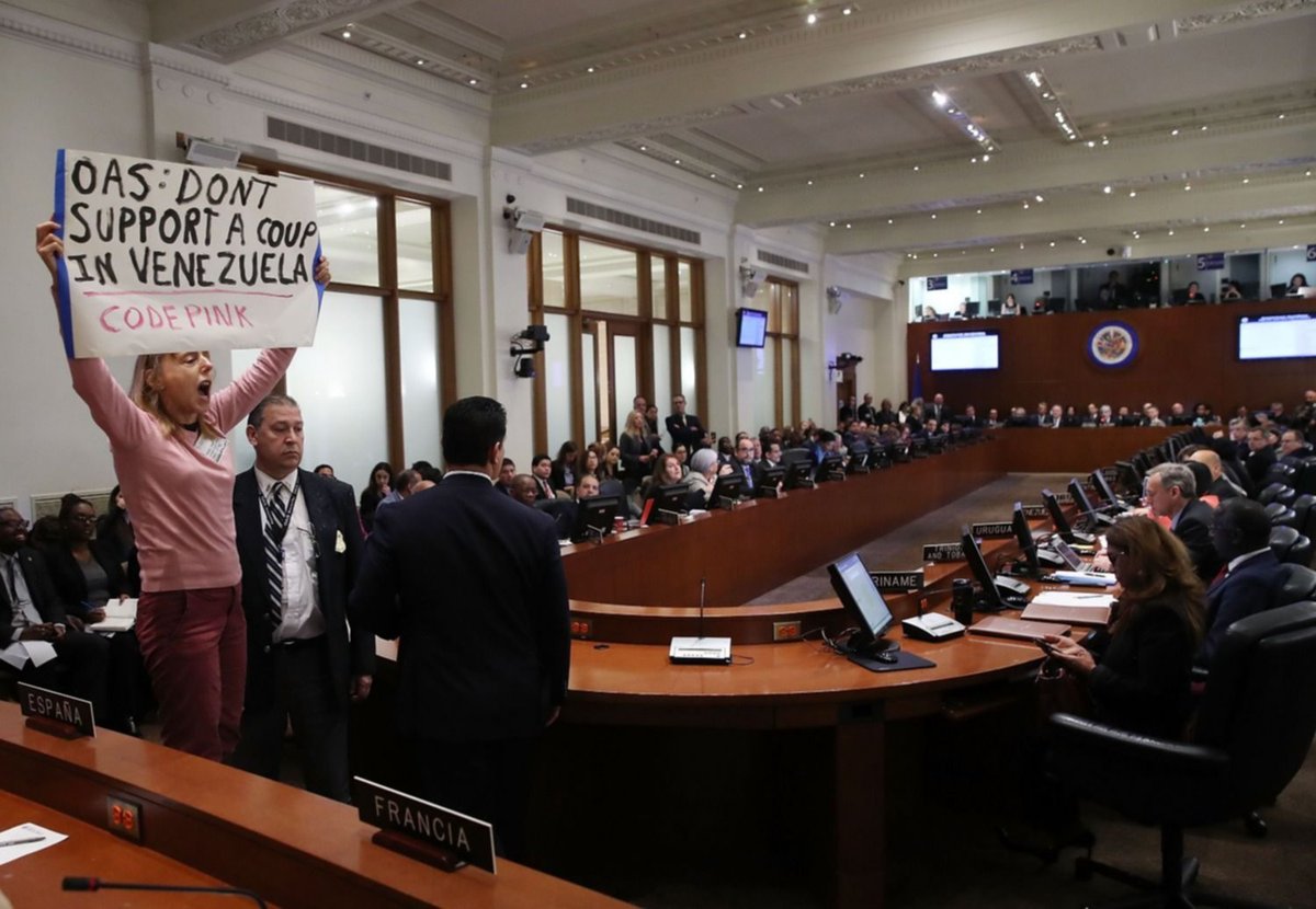 An activist interrupts OAS meeting to legitimize coup d'état in Venezuela.