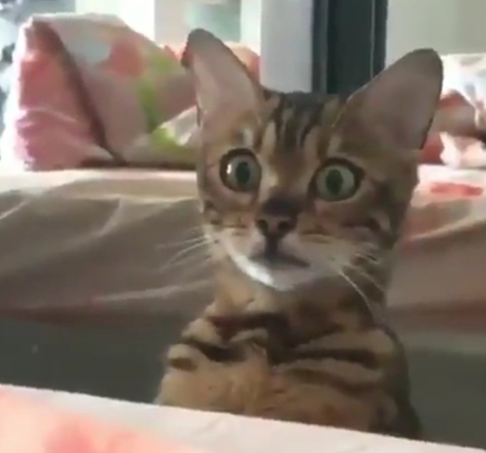 Өглөөний мэнд🤗 нам унтчихжээ. Өдрийг хөгжилтэй сайхан өнгөрүүлээрэй найзуудаа🌞🌺♥️