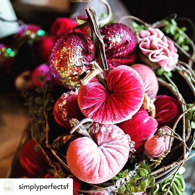 PlushPumpkin's tweet photo. Loving this display from @simplyperfectsf  Beautiful as always!! #valentinesday2019 #velvethearts #plushpumpkin #heartgram #love #valentines #handcraftd https://t.co/EE7kxdLxAR https://t.co/qzFtglJZhv