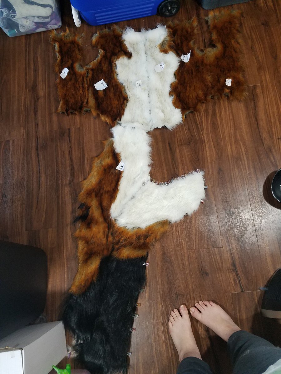 WeaselsOnEasels's tweet photo. It's a leg. 

#furry #fursuit #fursuitmaker #artist #weaselsoneasels #ashaeda #art https://t.co/nYmP8duILc