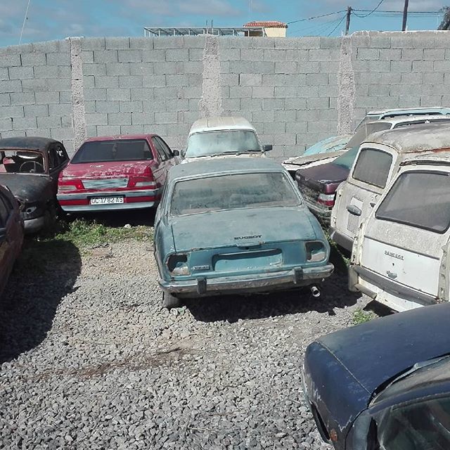 FauroMotor's tweet photo. Algunos más #peugeot504 #peugeot #lionpjr #peugeot404 #barnfind #abandonedplaces https://t.co/SMzRBGhTac https://t.co/9MDBV9ftDU