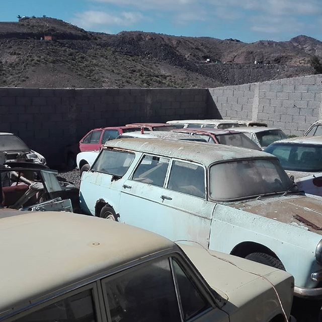 FauroMotor's tweet photo. Algunos más #peugeot504 #peugeot #lionpjr #peugeot404 #barnfind #abandonedplaces https://t.co/bsL57FMTyY https://t.co/ZPDsTn3KBu
