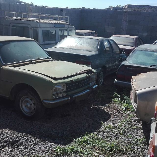 FauroMotor's tweet photo. Algunos más #peugeot504 #peugeot #lionpjr #peugeot404 #barnfind #abandonedplaces https://t.co/otW1aUdO0t https://t.co/fcvvuP5ImY
