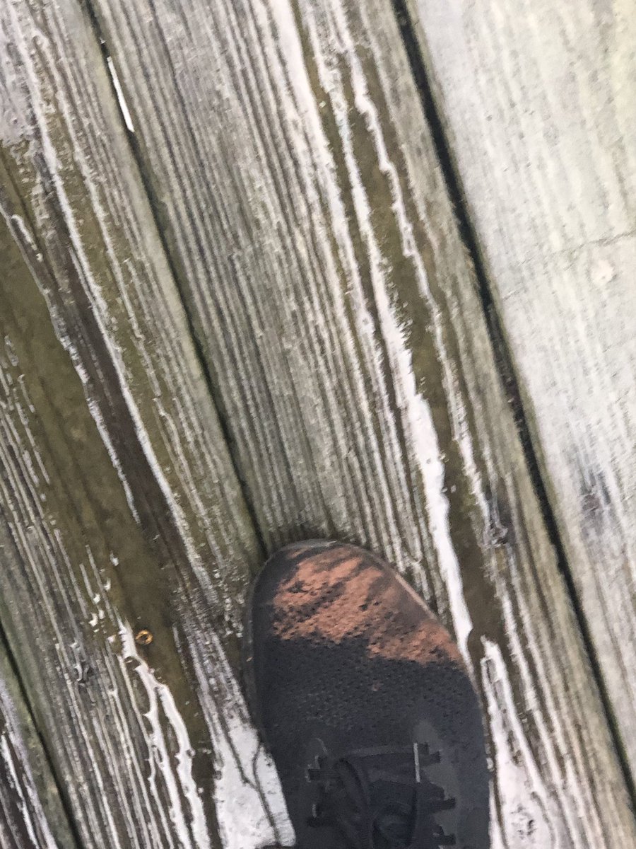 tyburton8's tweet photo. My shoe:(( https://t.co/hdGiRLvqH3