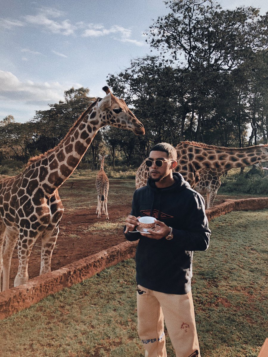 We gotta save giraffes from extinction man 😩
