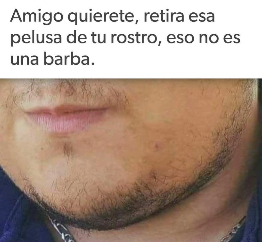 SoyMissDenisse's tweet photo. No sean ridículos plis jajajajaja quitense su 3 vellitos culeros jajajajaja https://t.co/Lzm4DQTaOq