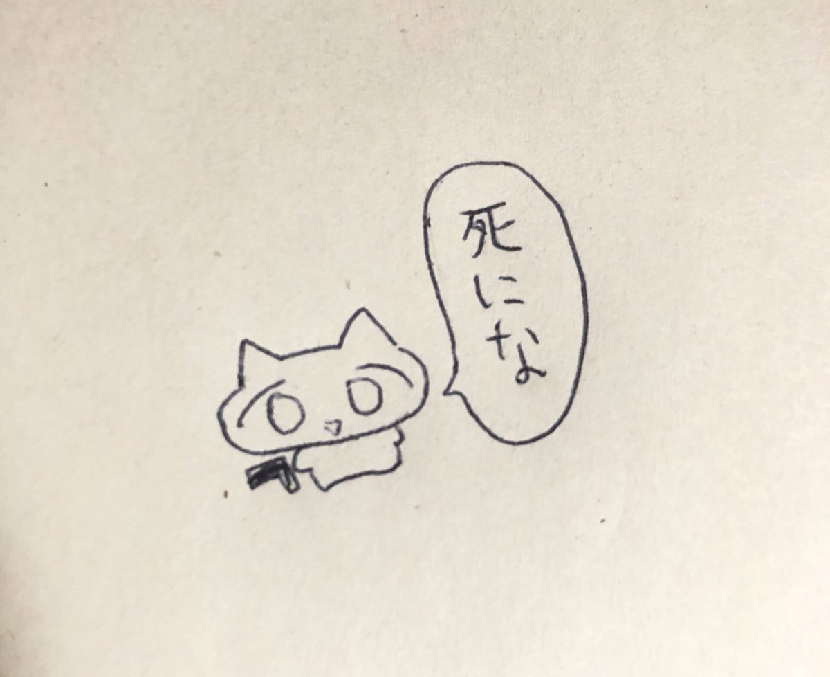 煽り運転が許せないねこちゃん 