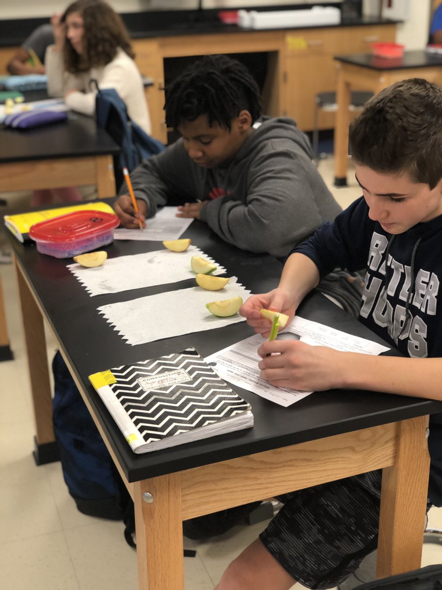 RitchiePRMS's tweet photo. In continuing our study of the theory of evolution, taste testing different types of apples initiated an enjoyable and stimulating discussion of selective breeding! #WeArePRMS #sciencerocks https://t.co/aUyFzjpmk8