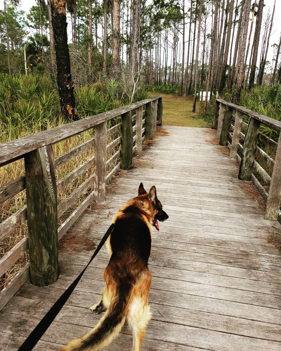 If I can offer a free piece of #advice let it be this: take time for yourself. Remember the things you love about yourself and the world around you. For me, I needed a little time with my #righthandman and #nature to reset.