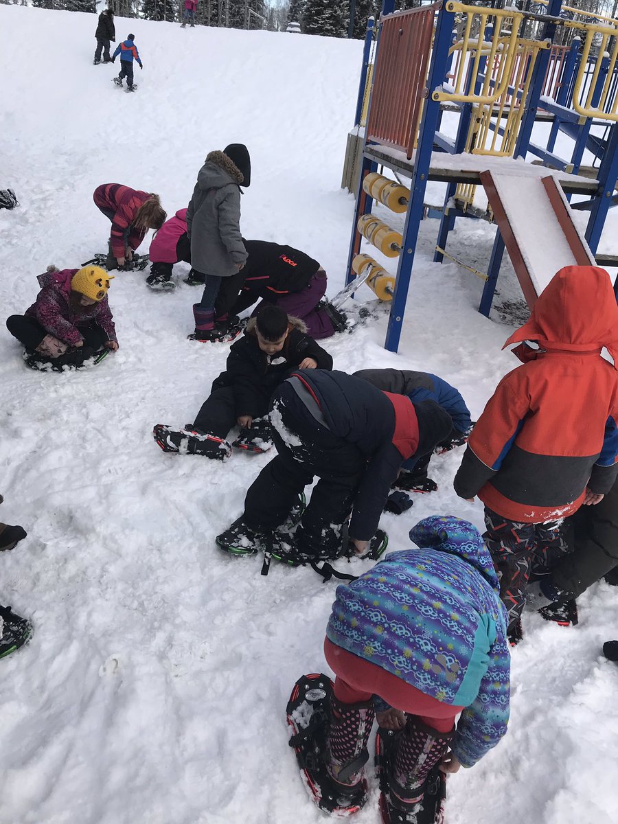 SPGunson's tweet image. Outdoor education collaboration in sd91 involving snowshoes, birds, STEM, inquiry, and TL/classroom teamwork! #@bctla #bctf #teamwork #@sd91bc #engagedlearners