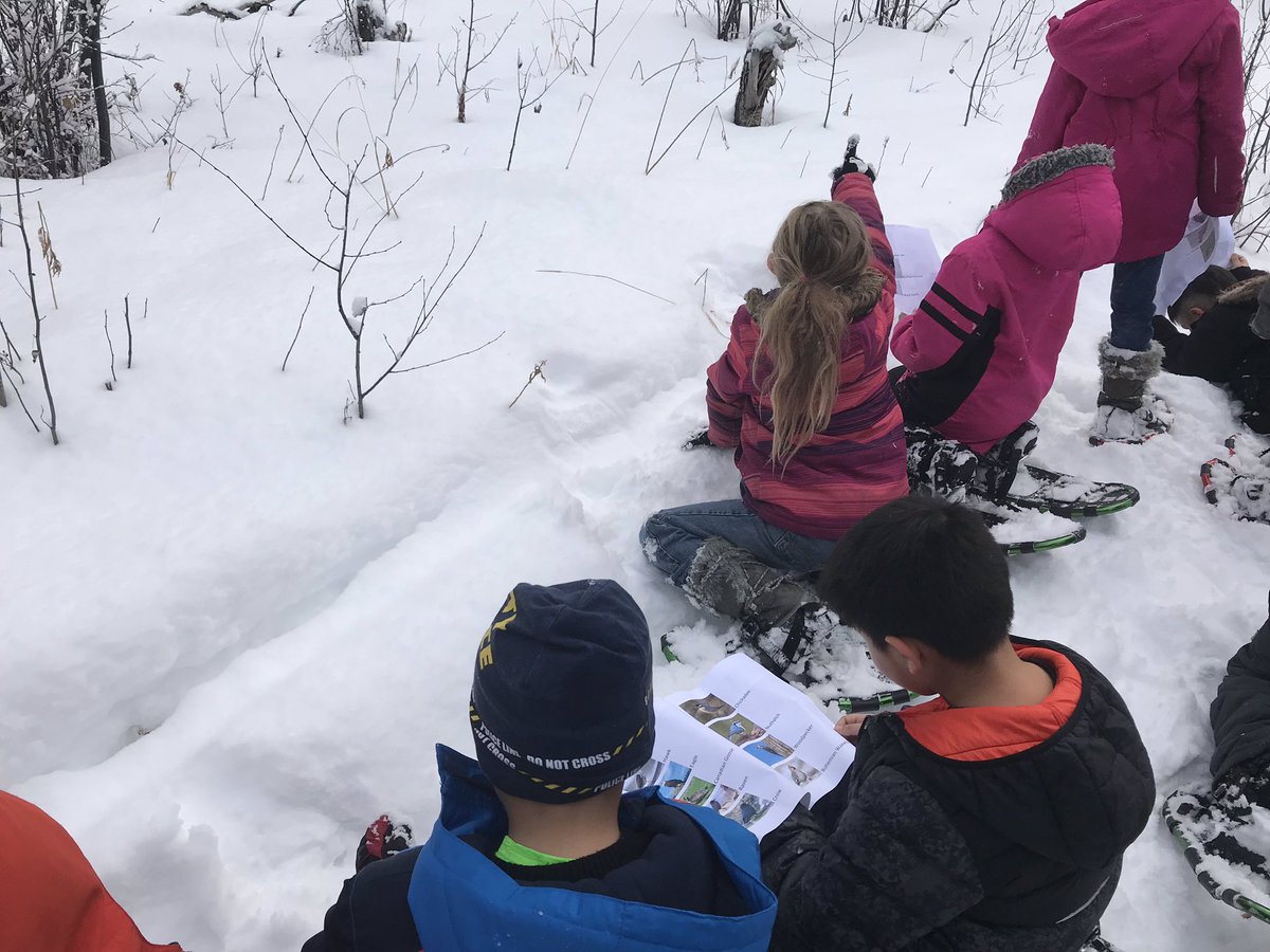 SPGunson's tweet image. Outdoor education collaboration in sd91 involving snowshoes, birds, STEM, inquiry, and TL/classroom teamwork! #@bctla #bctf #teamwork #@sd91bc #engagedlearners