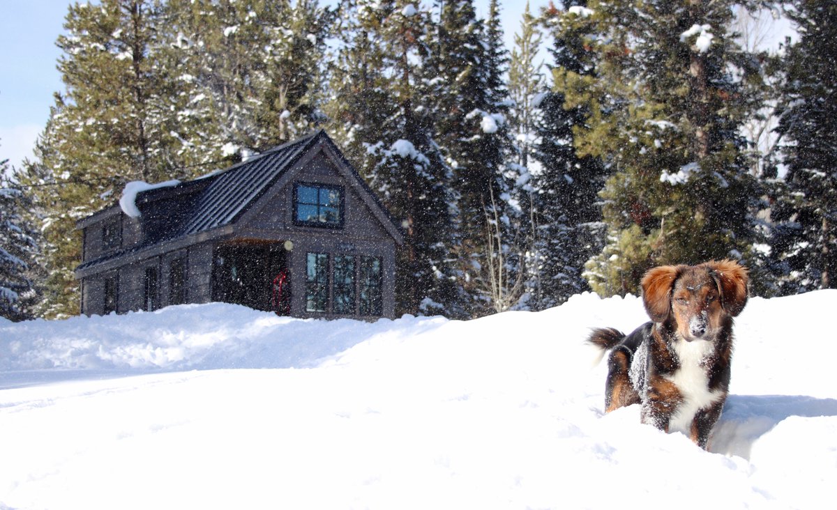 FyNyth's tweet photo. Look how deep our snow is now! https://t.co/lE82fYoPP0