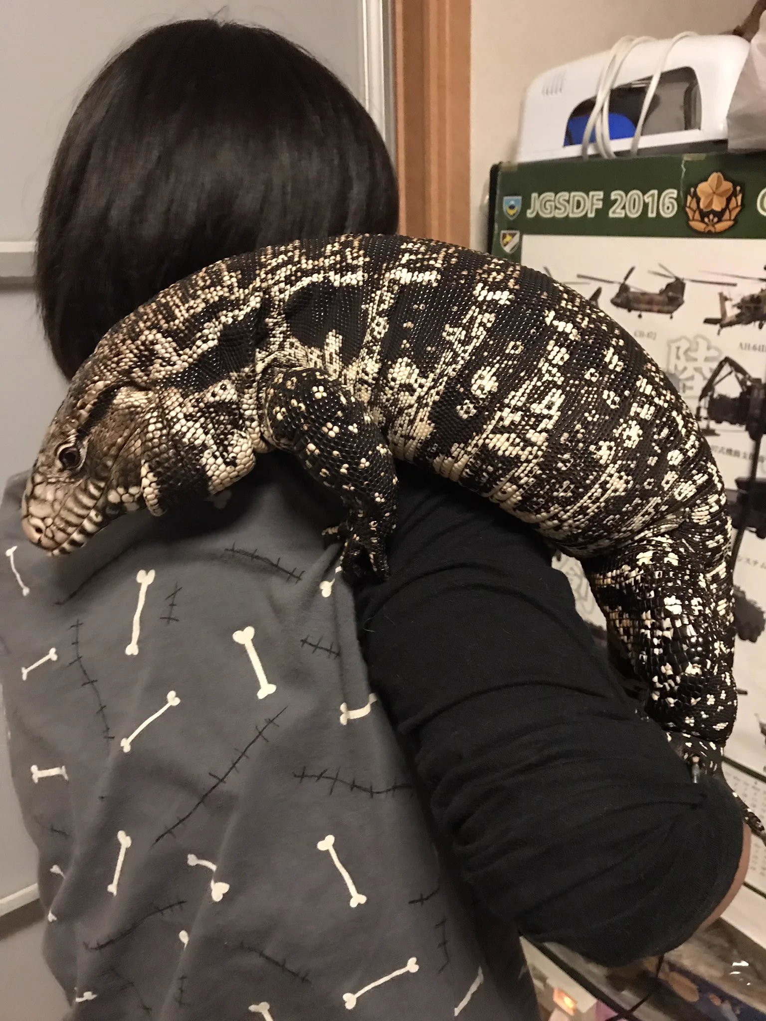 犬のように育てられたトカゲさんがかわいい！