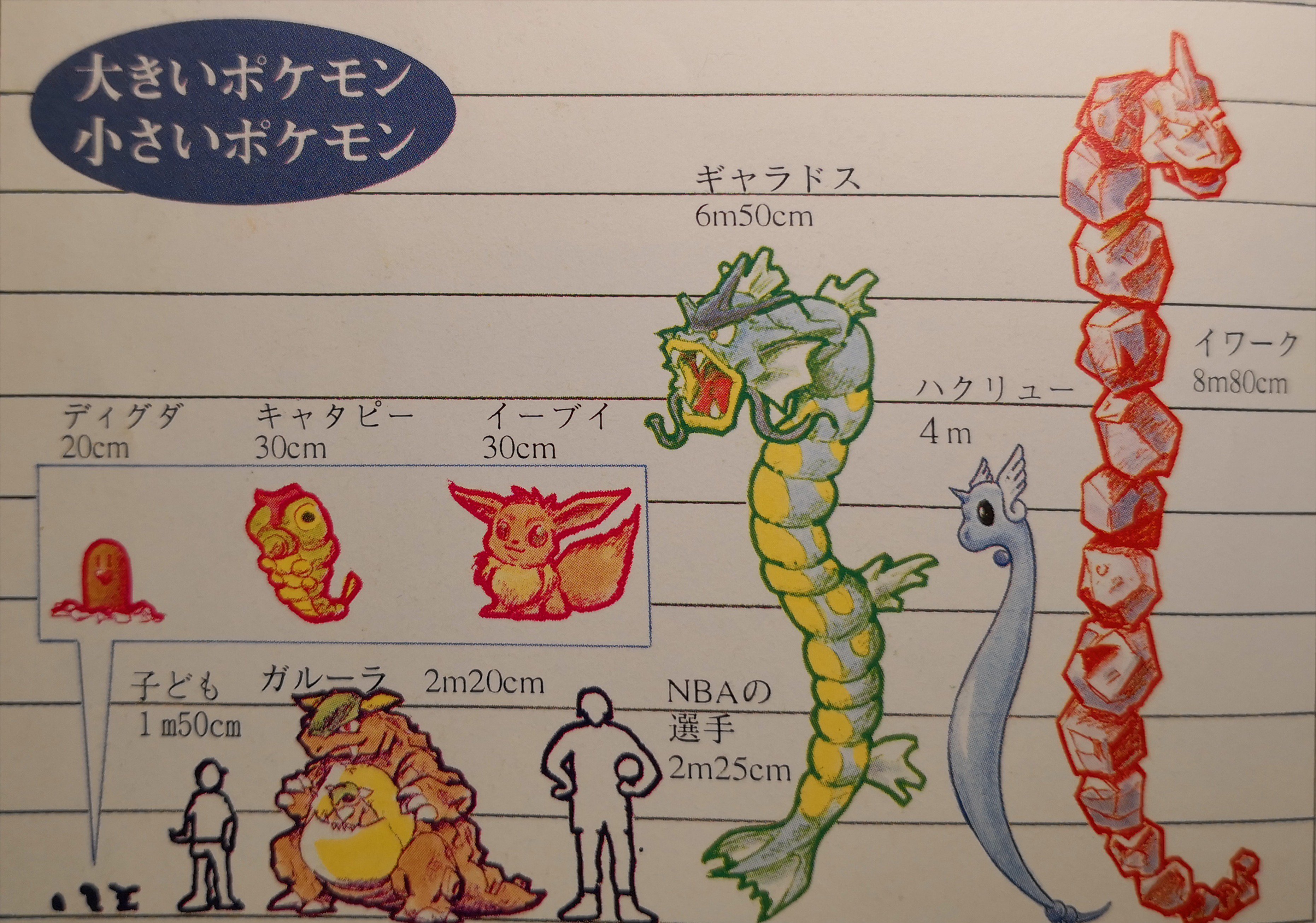 たかさおじさん ポケモン史上最古の原作サイドから提示された たかさ比較でも キャタピーがこの姿勢で0 3mと言われている ギャラドスは縦じゃなくて横に伸ばして6 5mになったぽい Xy以降メガの影響で けど イワークもハガネール見る限り横に伸ばして口先