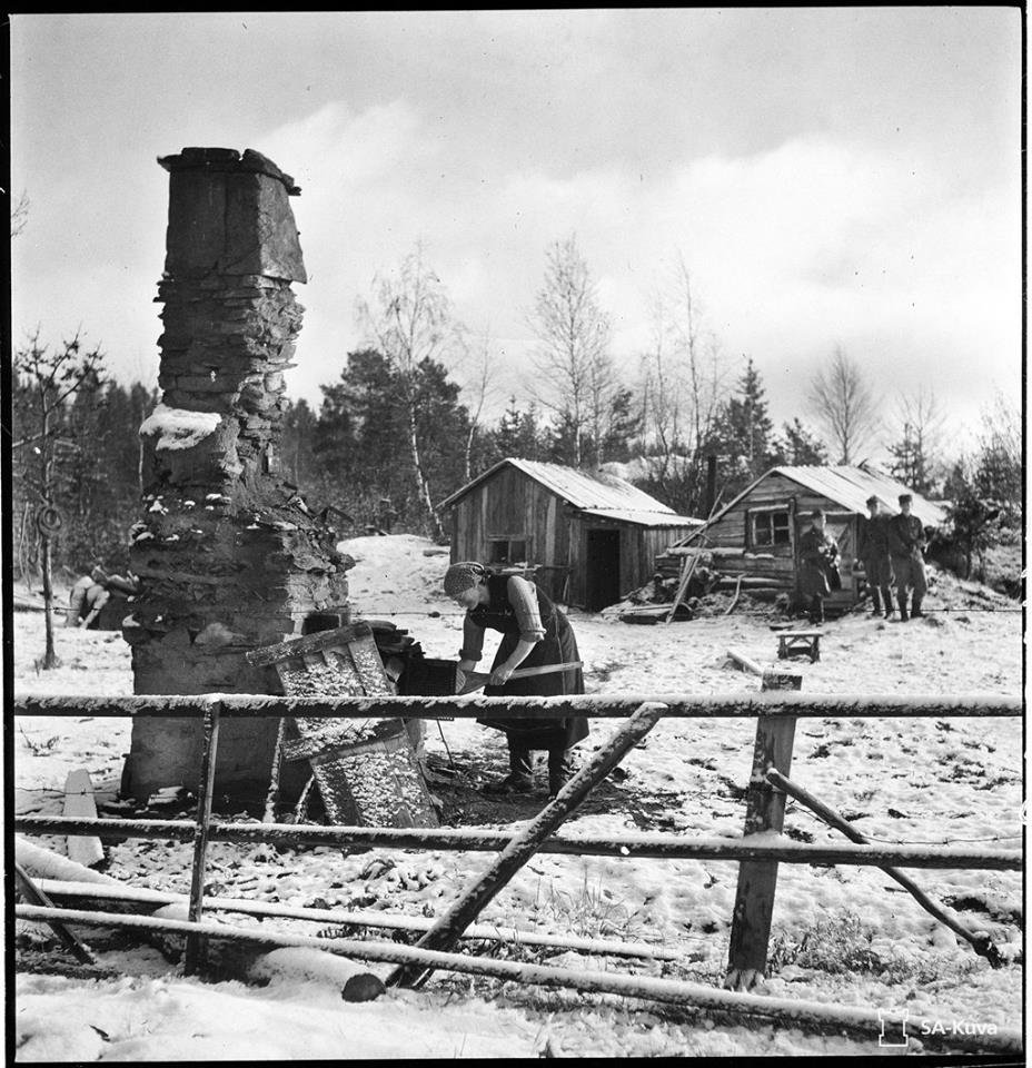 Kit Law (@likekitmarlowe) on Twitter photo 