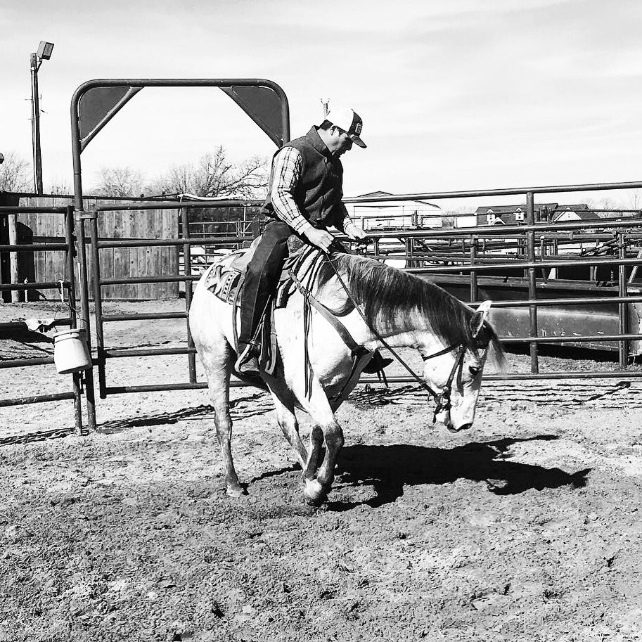 Colt Starting @Priefert_MFG