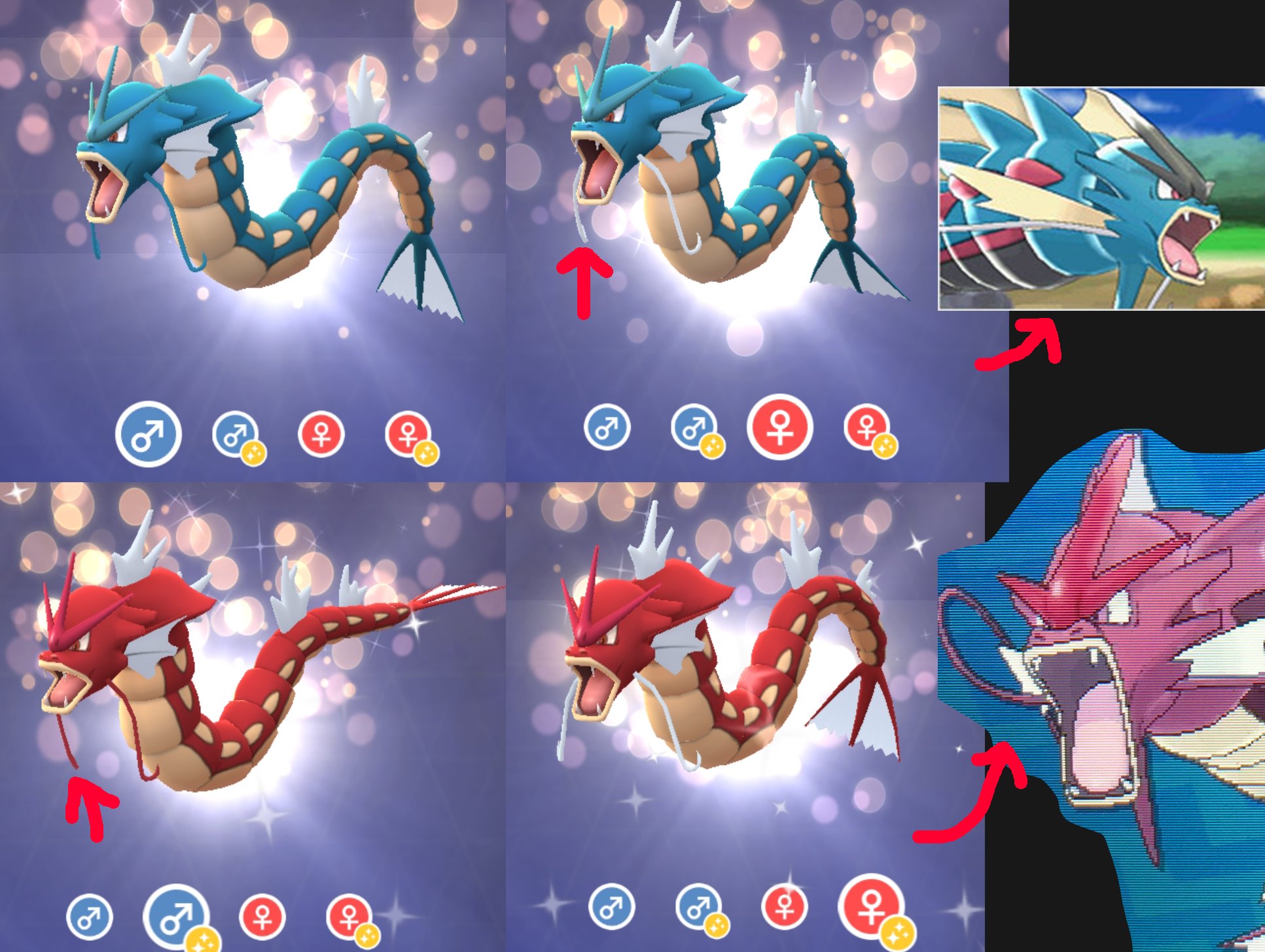 Twitter 上的 たかさおじさん メガシンカすると元のポケモンに存在してた雌雄差がなくなるがどちらの性に寄せられるかの話 ギャラドス は が青ヒゲ が白ヒゲだったの対し メガギャラドスは の白ヒゲに統一される しかし色違いの赤ギャラドスはメガシンカすると
