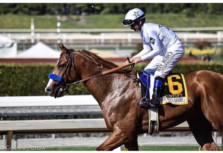 _CourtneySnow_'s tweet image. Congratulations to 2018 Eclipse 3yr Old Male AND Horse of the Year, Justify