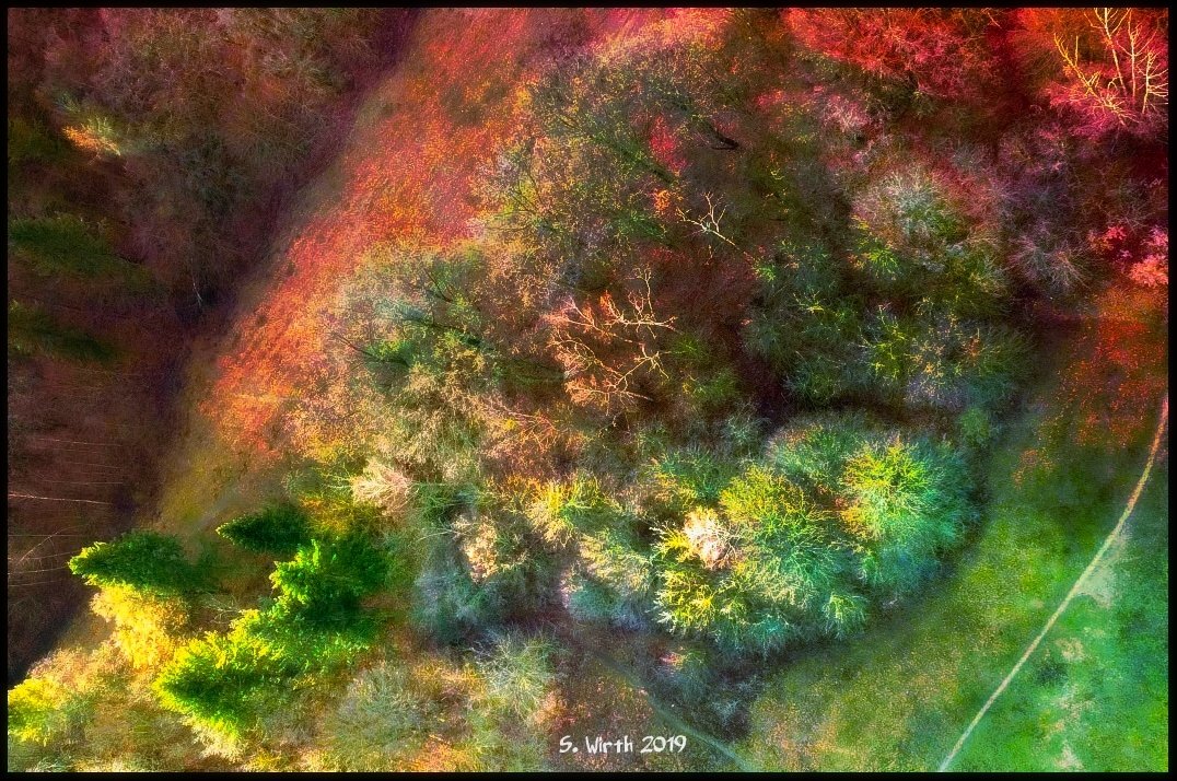 wirthstef's tweet photo. #intense #colored #landscape in #birdperspective with #bushes and #meadow with #pathway in #forest #Grunewald #Berlin #Teufelsberg #area #January #2019 Copyrights #Stefan #F. #Wirth
#landscape #drone #quadcopter #scenery #airperspective #mavic https://t.co/jHcRB1XdpC