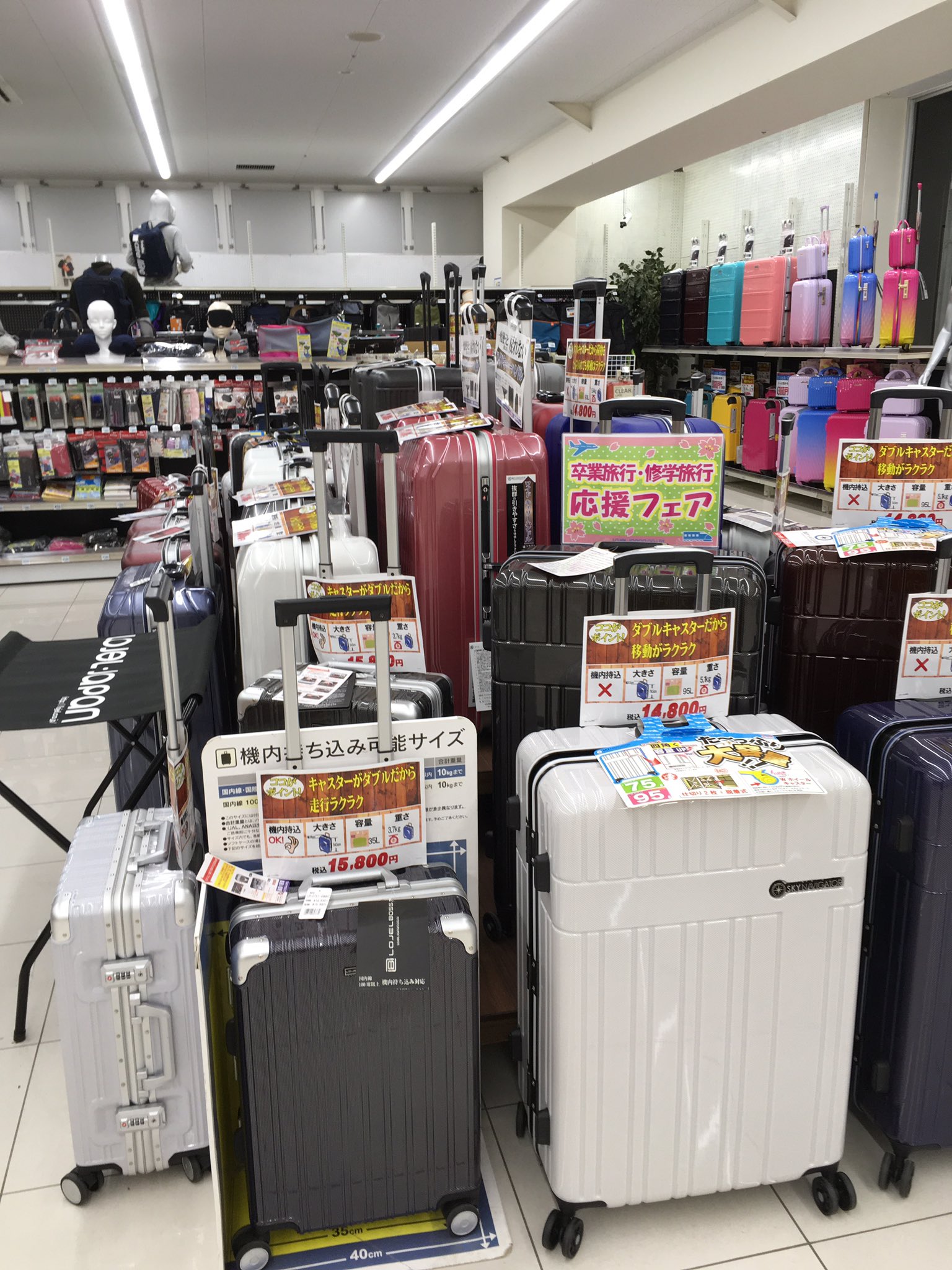 Twitter पर エリート情報 成田営業部 旅の必需品 ジョイフル本田富里店 Joyful2 2階に 卒業旅行 修学旅行 応援コーナーができてました 旅行グッズ 充実 スーツケース カラフルで かわいいですねぇ Twitter पर エリート情報 成田営業部 旅の必需品 ジョイフル本田富里店 Joyful2 2階に 卒業旅行 修学旅行 応援コーナーができてました 旅行グッズ 充実 スーツケース カラフルで かわいいですねぇ