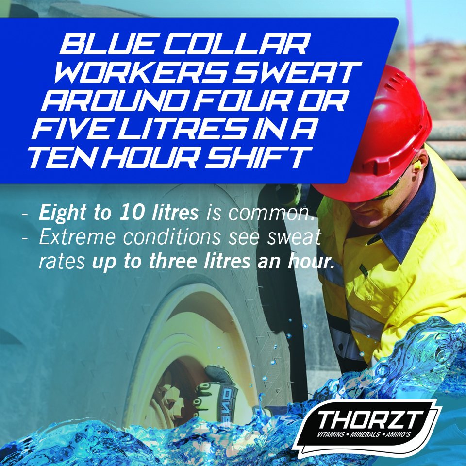 ThorztDrink's tweet photo. Understanding #dehydration and fluid loss is critical for workers in the heat, particularly as the consequences can include impaired cognitive function. Find out more about what influences fluid loss and fluid intake guidelines here: https://t.co/eg731hreLC 
#fluidloss #sweat https://t.co/Z5rQhYptWZ