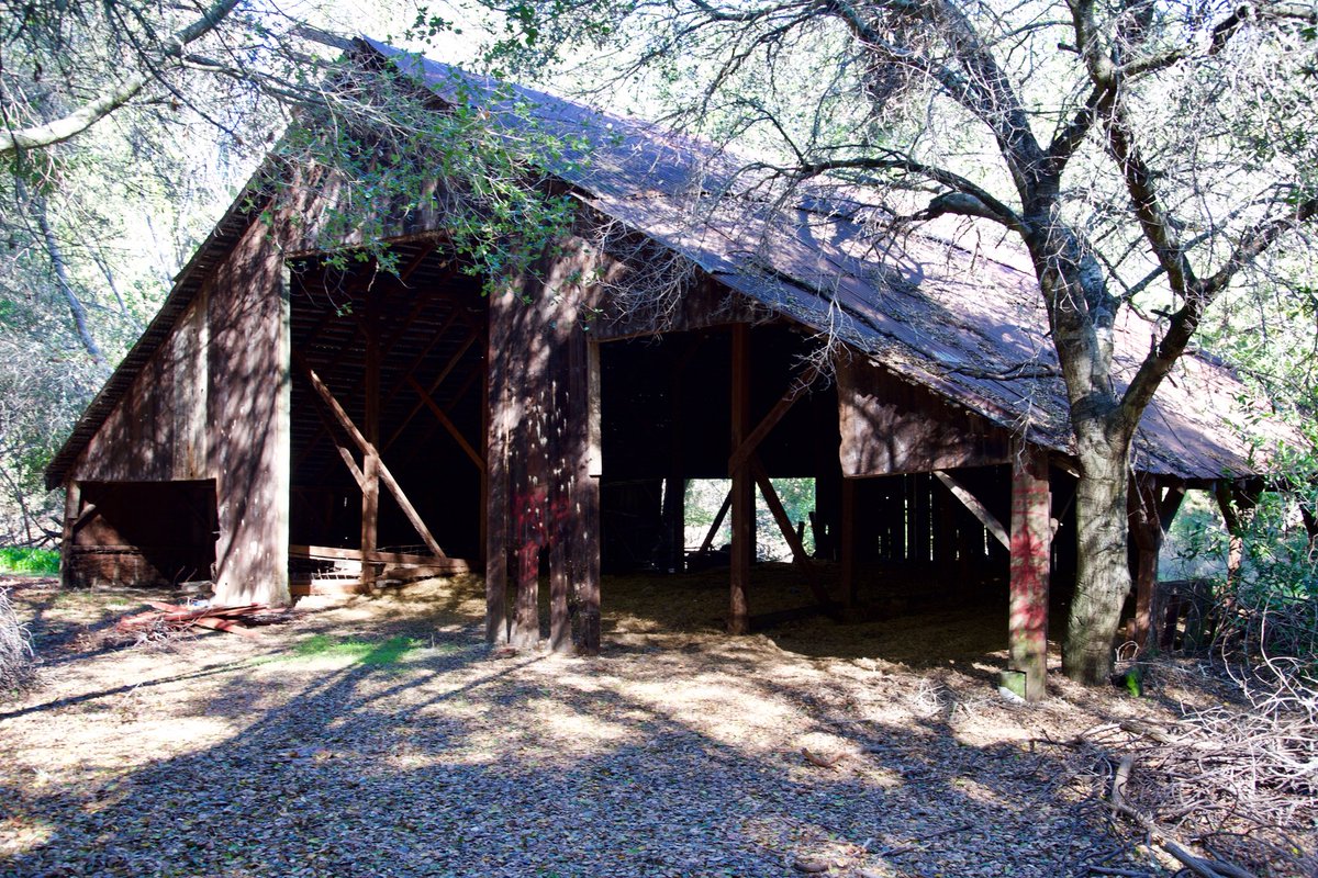 shadowofthelens's tweet photo. Abandoned barn - San Ramon, CA. #barn #PhotographyIsArt #artwork #photograghy #Photoshoot #photography #photographer #BayArea #abandonedplaces #California #abandonedbuilding #interesting #vision #story https://t.co/7vKAegQOxY