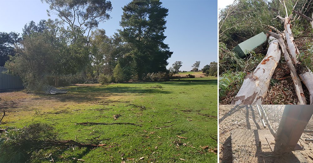 TheASTMA's tweet photo. Check out 25 Jan ed of @AGCSA2 e-news The Cut. This week - 2019 @GolfNSW #NSWam, storm damage sustained at Commercial Albury Golf Resort. Registrations also open for Mar/April Turf Management Seminars @GolfAust Enjoy the read…The Cut - 25 January 2019 - https://t.co/rSz7dyDb7M https://t.co/ApfnIuHZmN