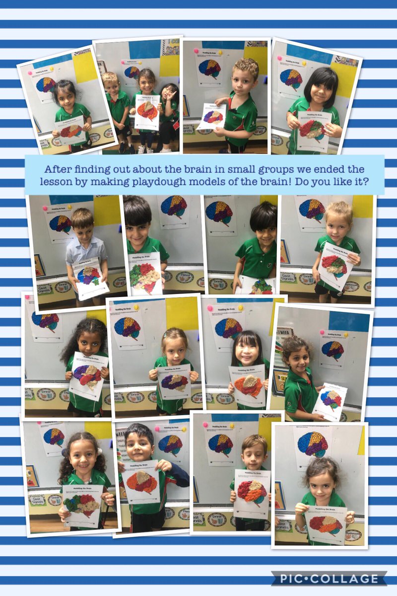 KG2 are learning all about the human body in Science! #kg2diab #diabscience
