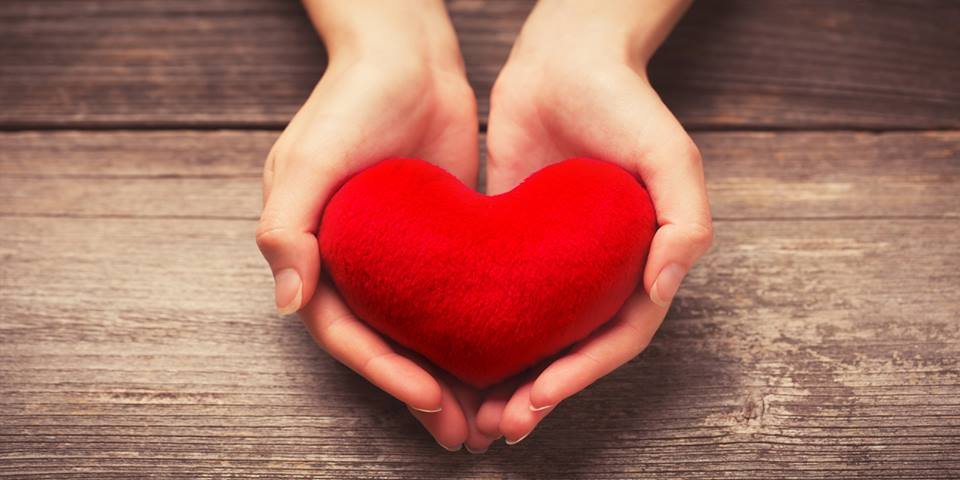 CommonFolks_in's tweet image. உங்களிடம் இருக்கும் புத்தகங்களில் ஒரேயொரு புத்தகத்தை மட்டும்தான் வைத்துக்கொள்ள முடியுமென்ற ஓர் நிலை வந்தால், நீங்கள் எந்தப் புத்தகத்தை தேர்ந்தெடுத்துக் கொள்வீர்கள்?