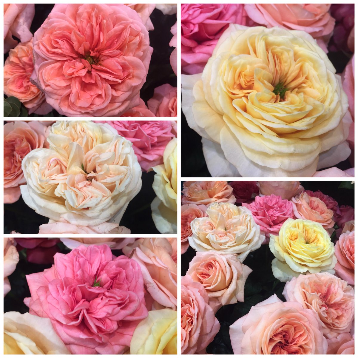 Eye catcher gezien op de IPM we kunnen niet wachten op de productie van al dit moois.