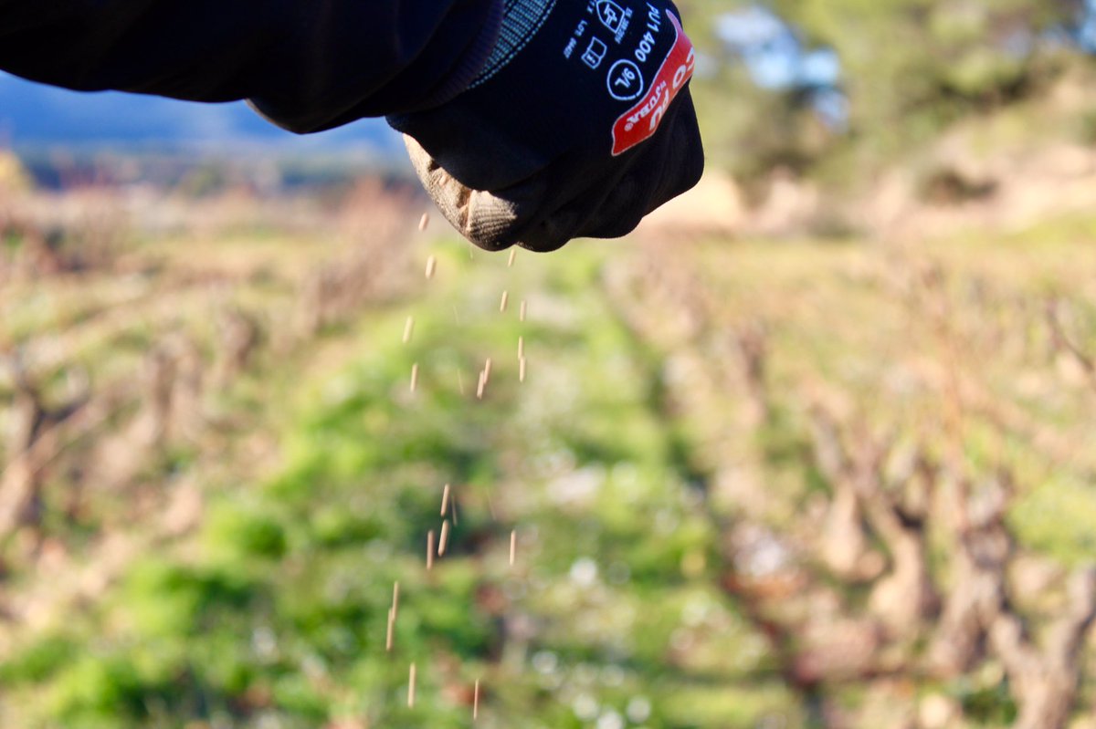 Celler Bàrbara Forés tweet media