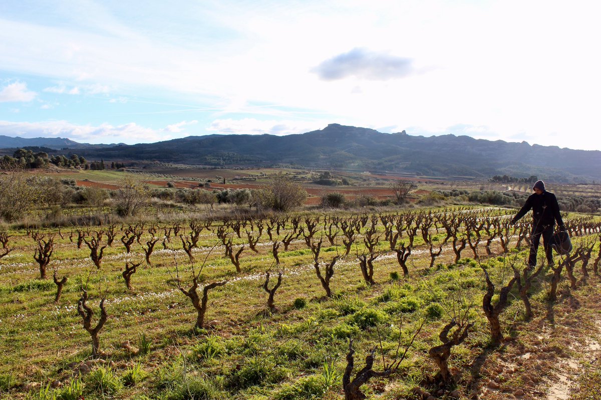 Celler Bàrbara Forés tweet media