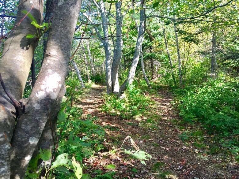 NomadsN's tweet photo. “Hiking The Nomad Way Is The Best Possible Exercice”🌿🍃🌿
#nomadsnatureandnurture #nomad #nomadway #nomadretreat #getaway #bedandbreakfast #hiking #hikingadventures #nature #naturelovers #naturephotography #postoftheday #pictureoftheday #chouf #lebanon https://t.co/sGx3jl3Bbn