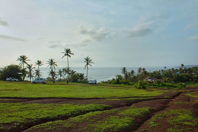 The green grass of home. #vagator 

#palmtree #view #horizon #green #sky #clouds #goa #beauty #exploregoa #discovergoa #nature
#regram @saclorine